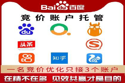 SEM代理服务：案例对比，效果哪家强